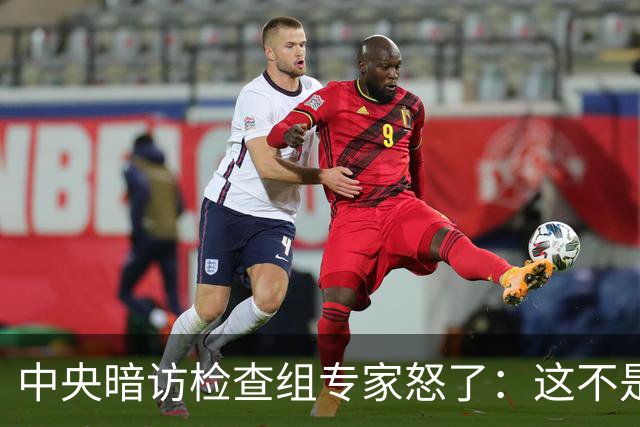 中央暗访检查组专家怒了：这不是开玩笑吗？
